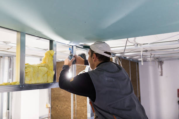 Insulation Repair Services in Sand Ridge, NY