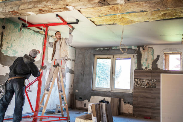 Best Insulation for New Construction  in Sand Ridge, NY