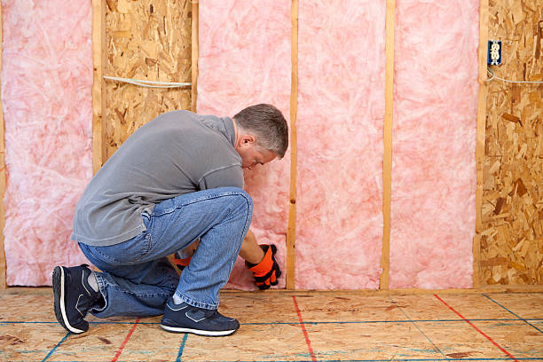 Best Insulation Inspection Services  in Sand Ridge, NY