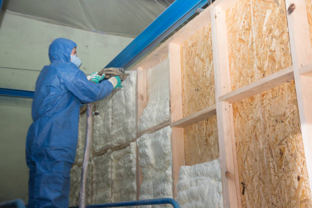 Best Insulation Removal  in Sand Ridge, NY