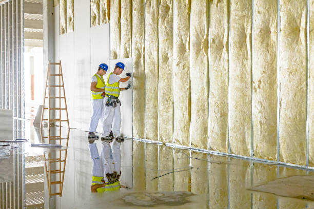 Insulation Inspection Services in Sand Ridge, NY